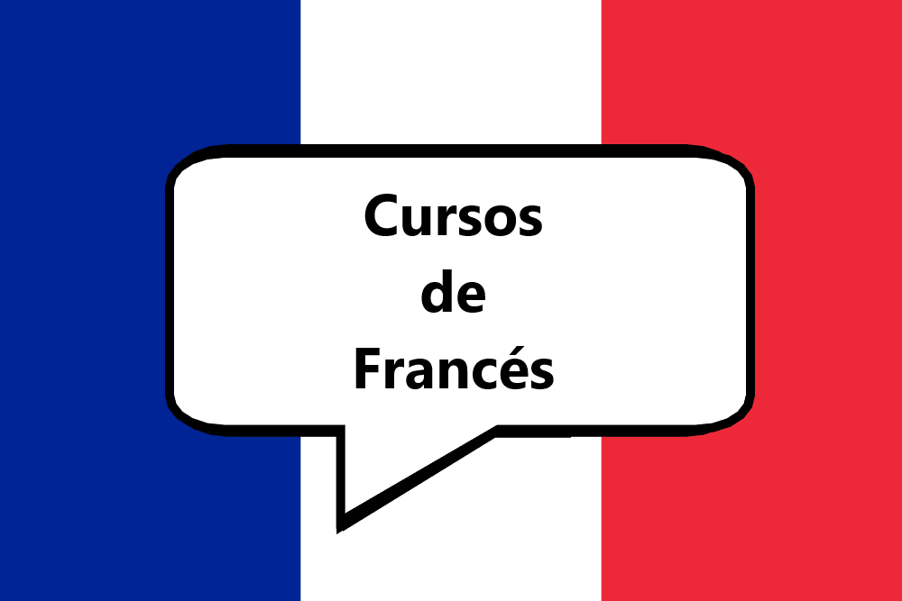 Dónde hacer cursos de Francés  online y presencial en Suiza